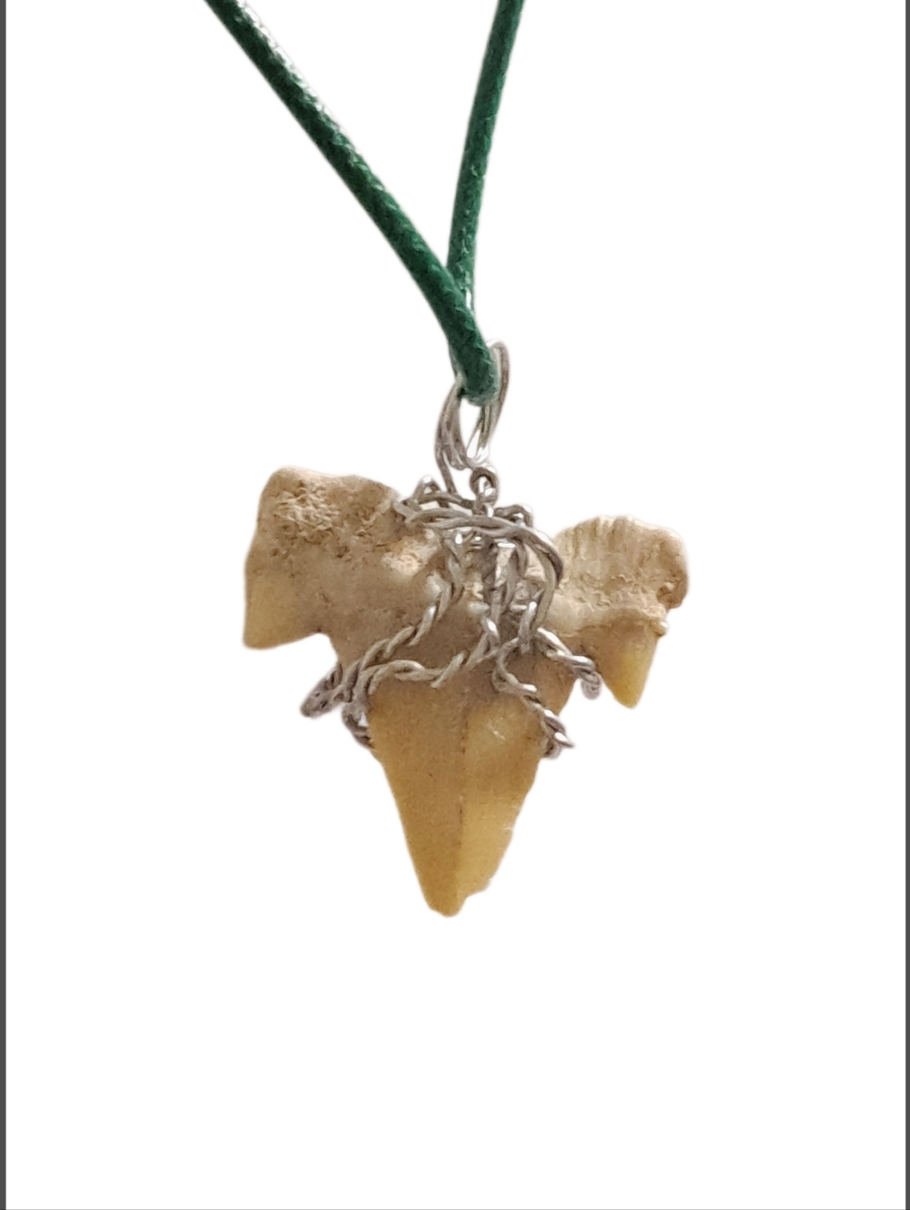 Genuine Fossilized Shark Tooth Pendant with Green Cord Necklace - Picture 6 of 6